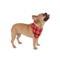 Pet Bandana in choice of 8 color combos 7 in paw print scatter pattern 1 in plaid Made of soft-spun polyester product 1